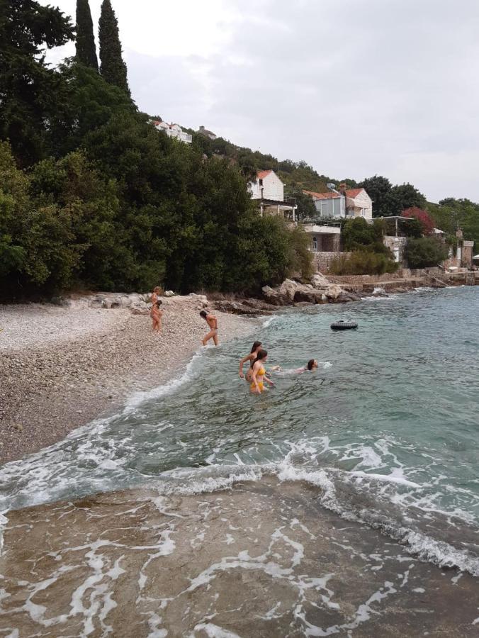 Oliva Apartments Lozica Dubrovnik Rom bilde
